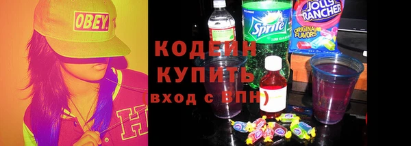 прущие крисы Бородино