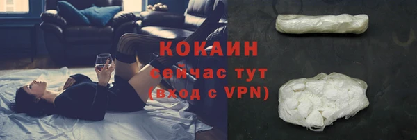 прущие крисы Бородино