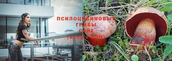 соль ск Бронницы