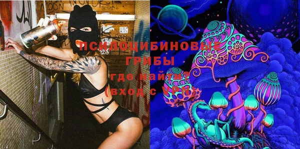 прущие крисы Бородино