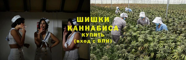 прущие крисы Бородино